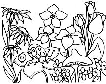 Jardim de Flores 1 Página para Colorir