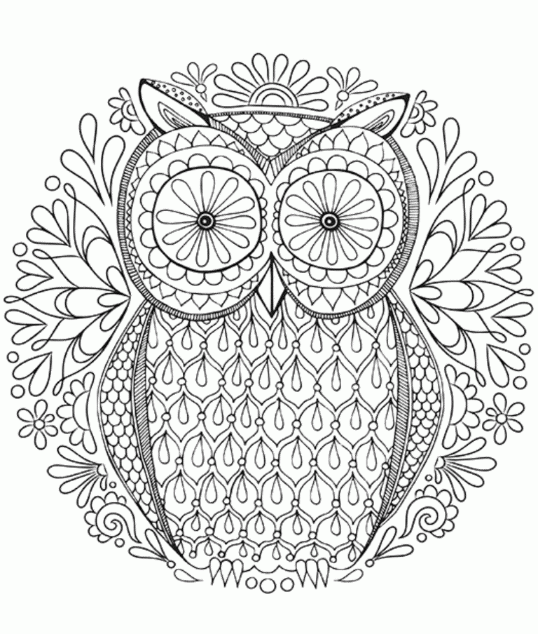 Página para colorir de padrão de coruja de flor