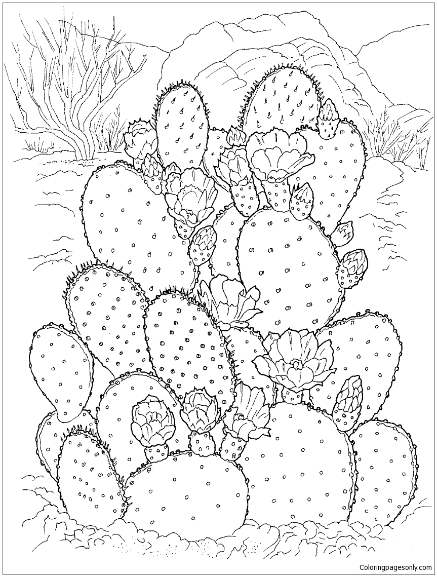 Desenho de Sol sobre Cactos do Deserto para colorir