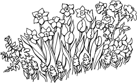 Página para colorir de jardim de flores
