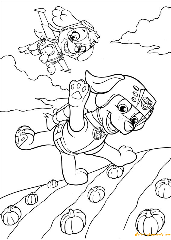 Cachorros voladores de Skye Paw Patrol