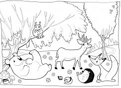 Forest Animal 1 Coloring Pages