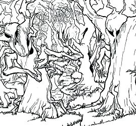 Forest Animals 4 Coloring Page