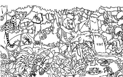 Página para colorir de animais da floresta