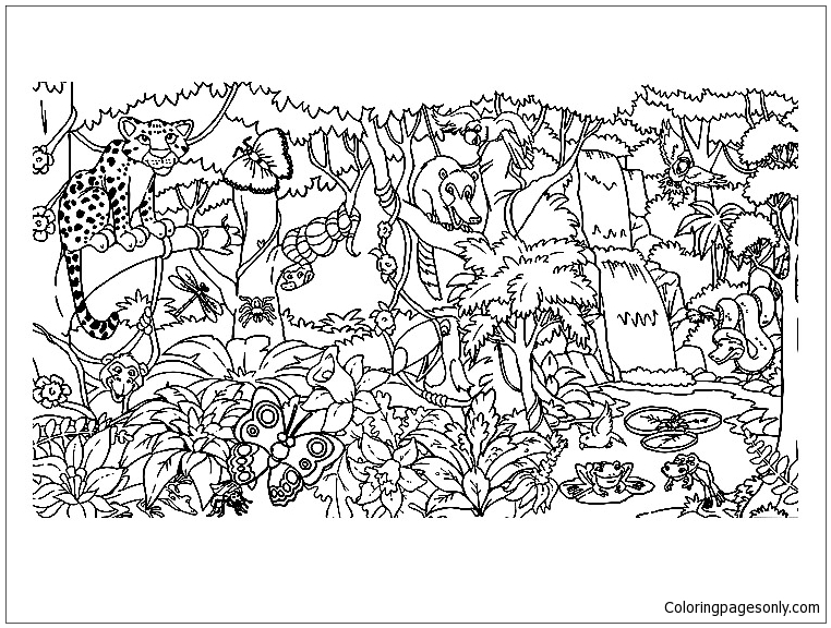 Forest Animals Coloring Pages