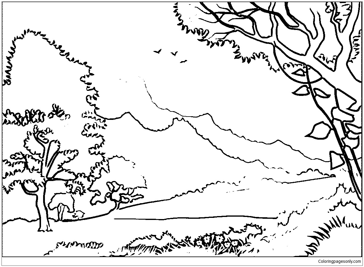 Forest Landscape Coloring Page Free Printable Coloring Pages