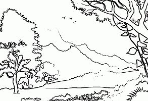 Forest Nature Coloring Page
