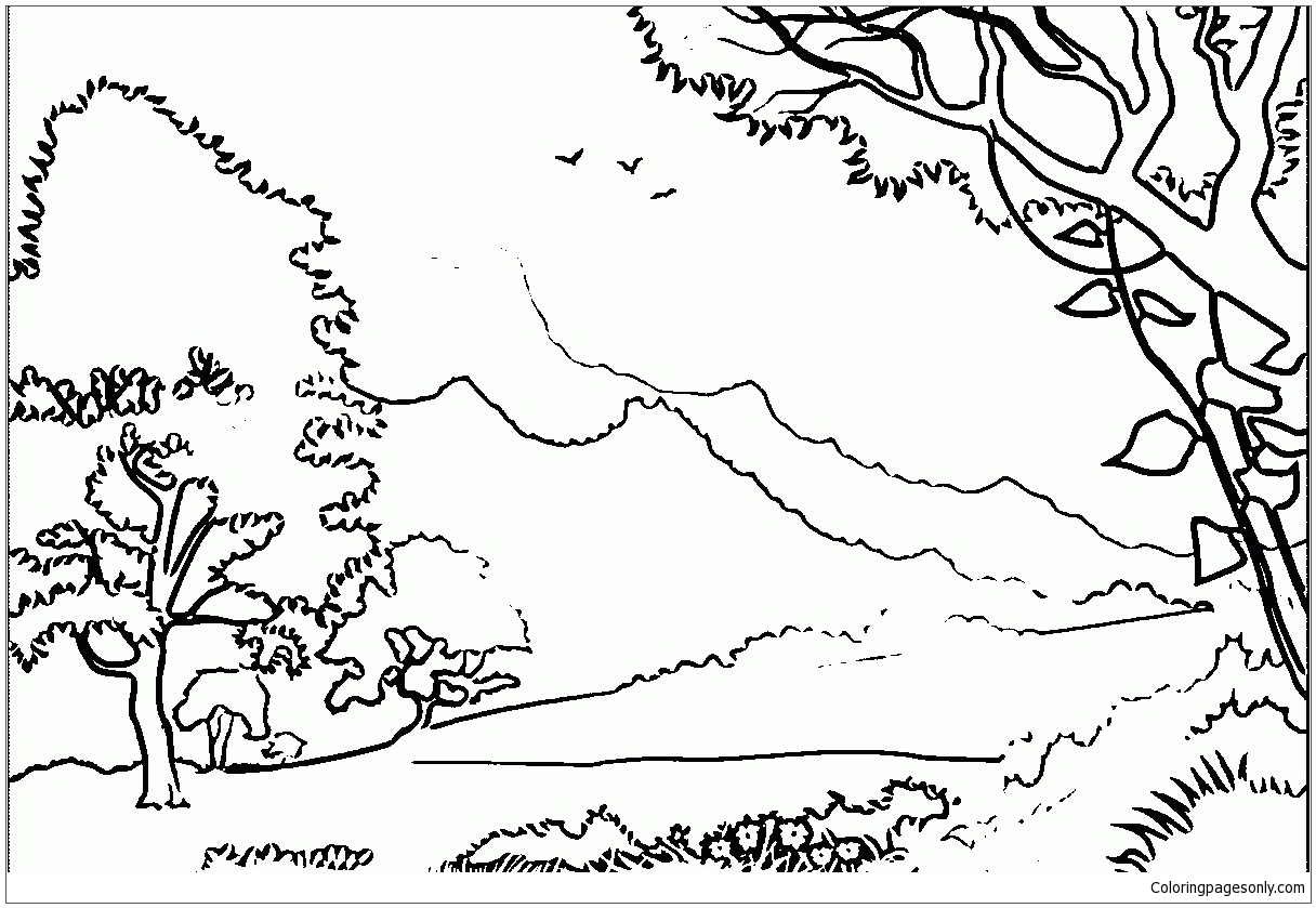 Forest Nature Coloring Pages