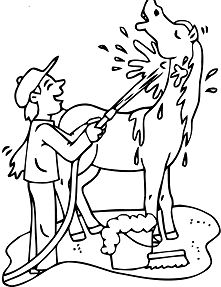 Funny Horses Coloring Page