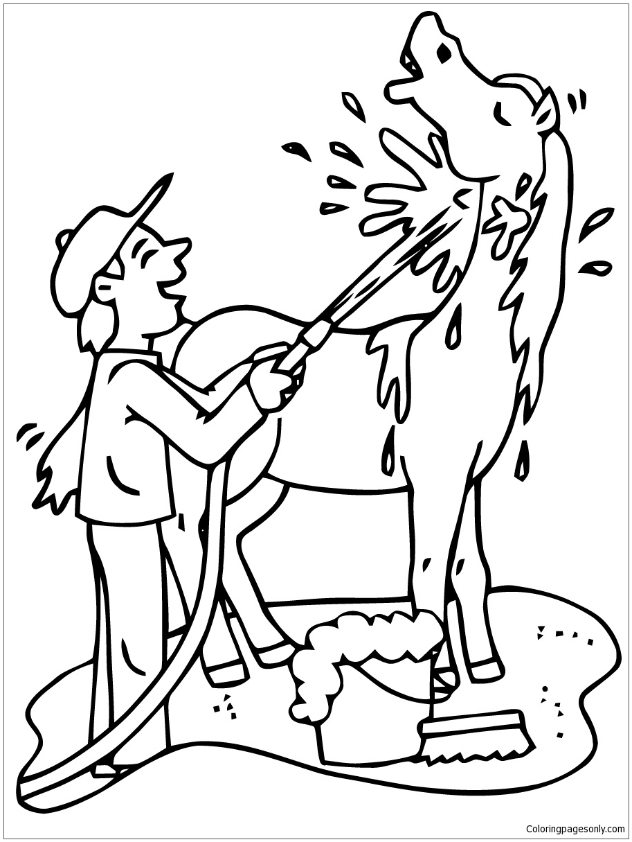 Funny Horses Coloring Pages