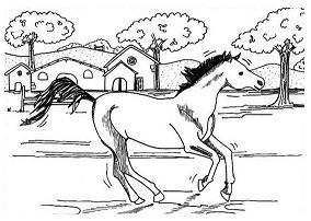 Galloping Horse Coloring Pages