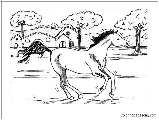 Galloping Horse Coloring Pages - Horse Coloring Pages - Coloring Pages
