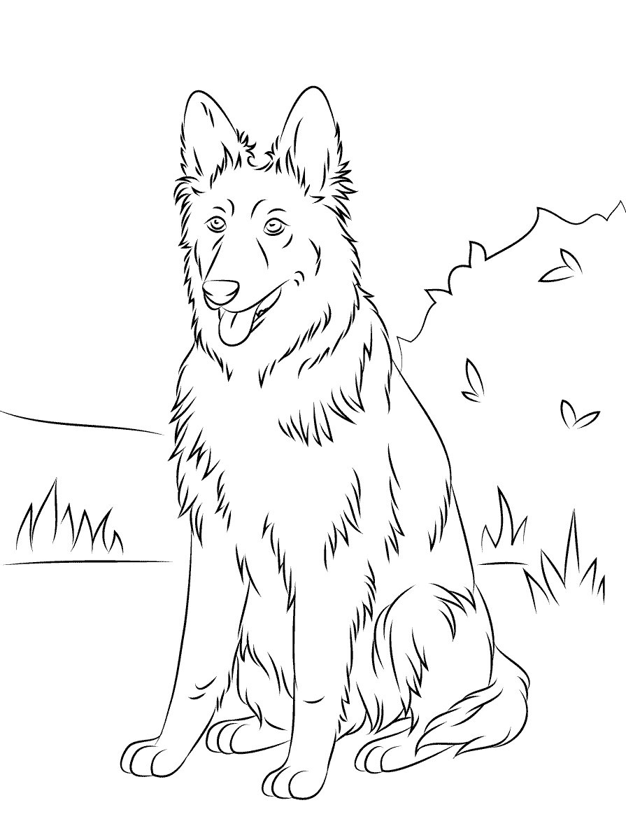 German Shepherd is on the grass Coloring Page