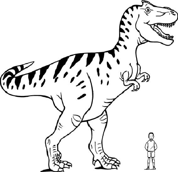 Reuze Allosaurus van Allosaurus