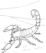 Giant Desert Scorpion Coloring Pages