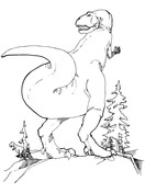 Gorgosaurus Tyrannosaurid Theropod Coloring Page