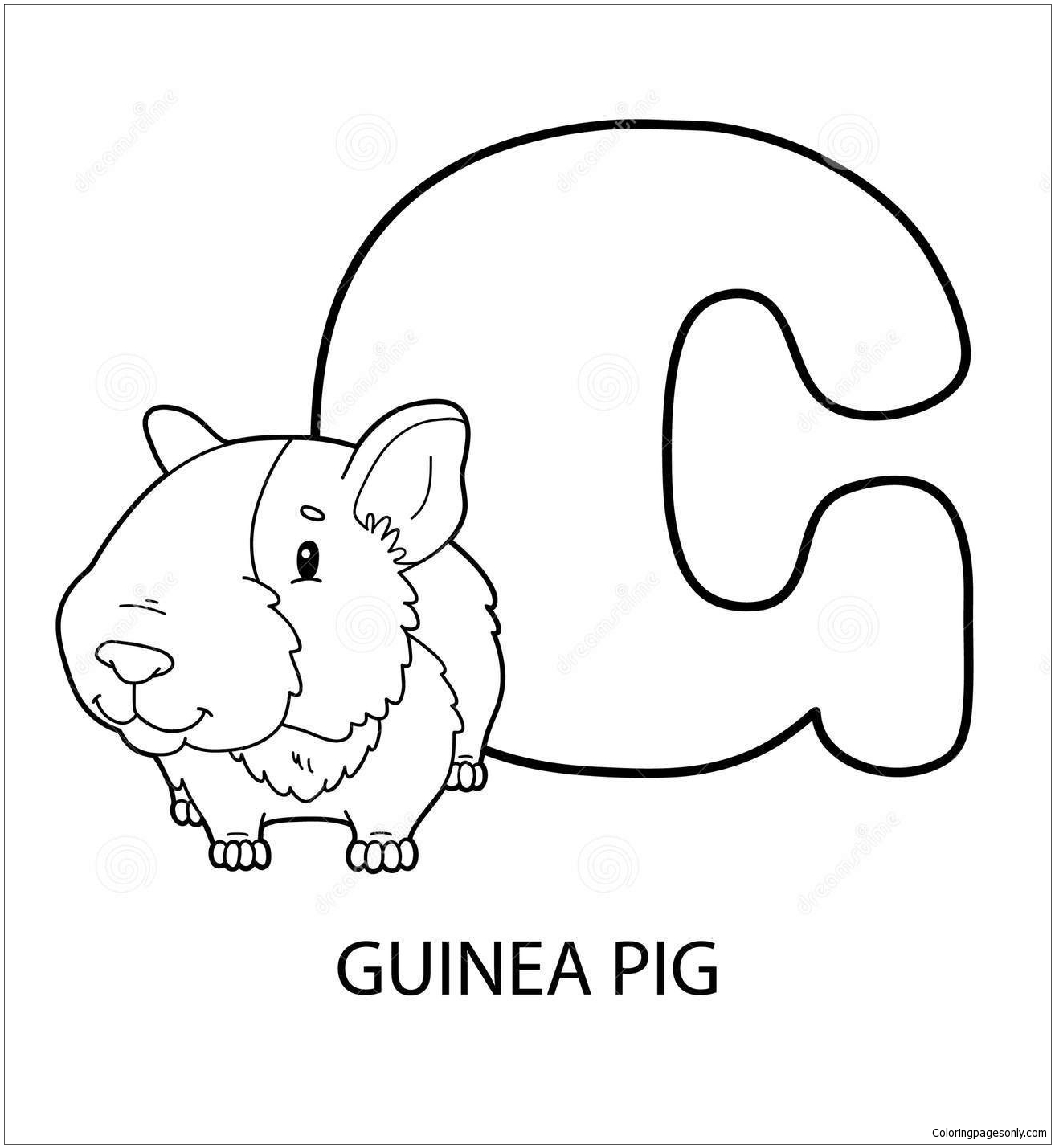 Download Guinea Pig Alphabet Coloring Page - Free Coloring Pages Online