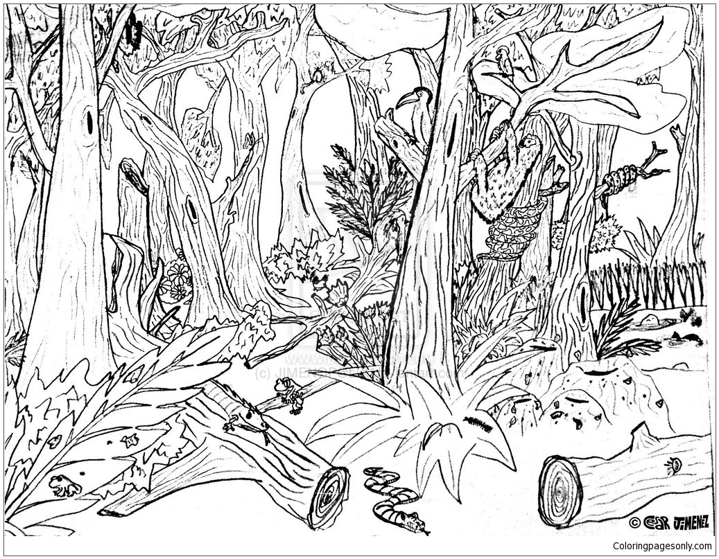 Página para colorir de animais da floresta dura