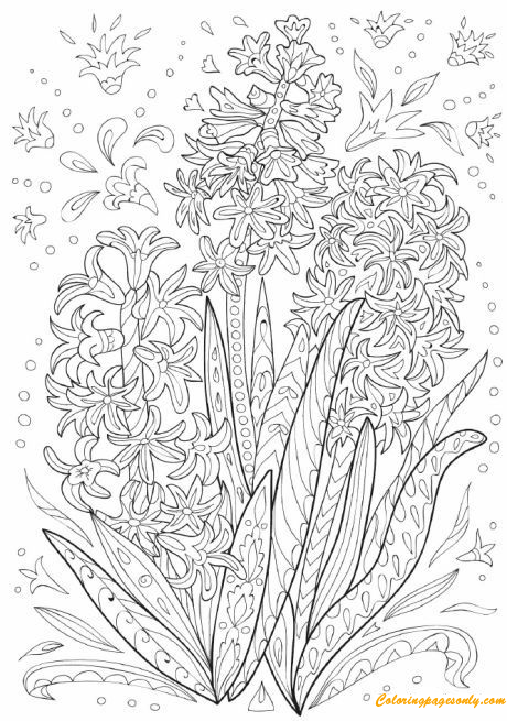 Harde Hyacint Doodle van Hard