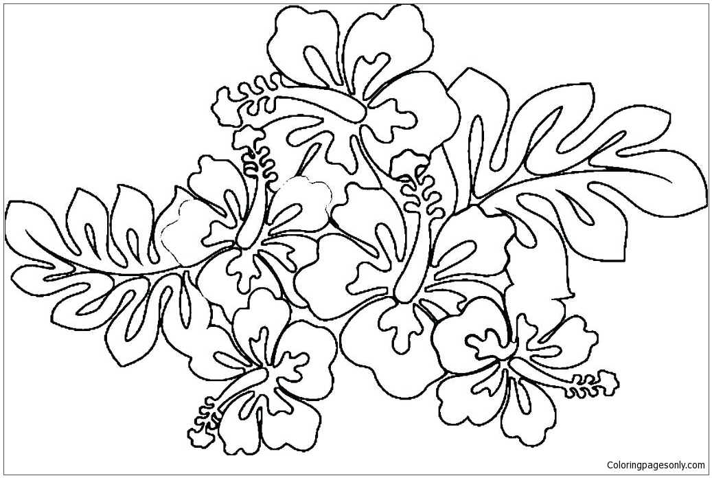 Hawaiian Flower Coloring Page