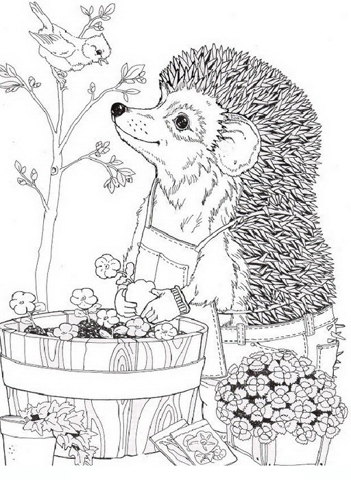 Hedgehog Picking Up Flowers Coloring Pages