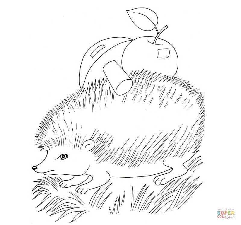 Hedgehog with Apple and Mushroom Coloring Pages