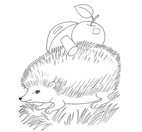 Desenho de ouriço com maçã e cogumelos para colorir
