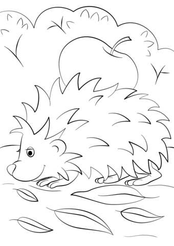 Hedgehog with Apple Coloring Pages