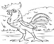 Heihei Rooster From Moana Disney Coloring Pages