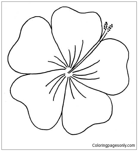 Hibiscus From Moana Disney Coloring Page - Free Coloring Pages Online