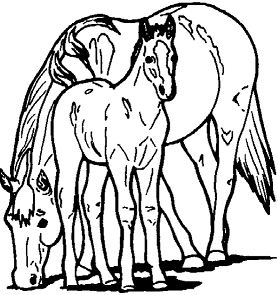 Horse and Pony Coloring Pages