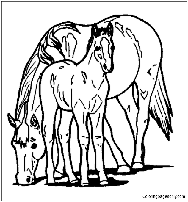 horse and pony coloring pages