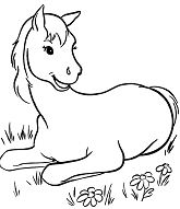 Horse Cute Coloring Page