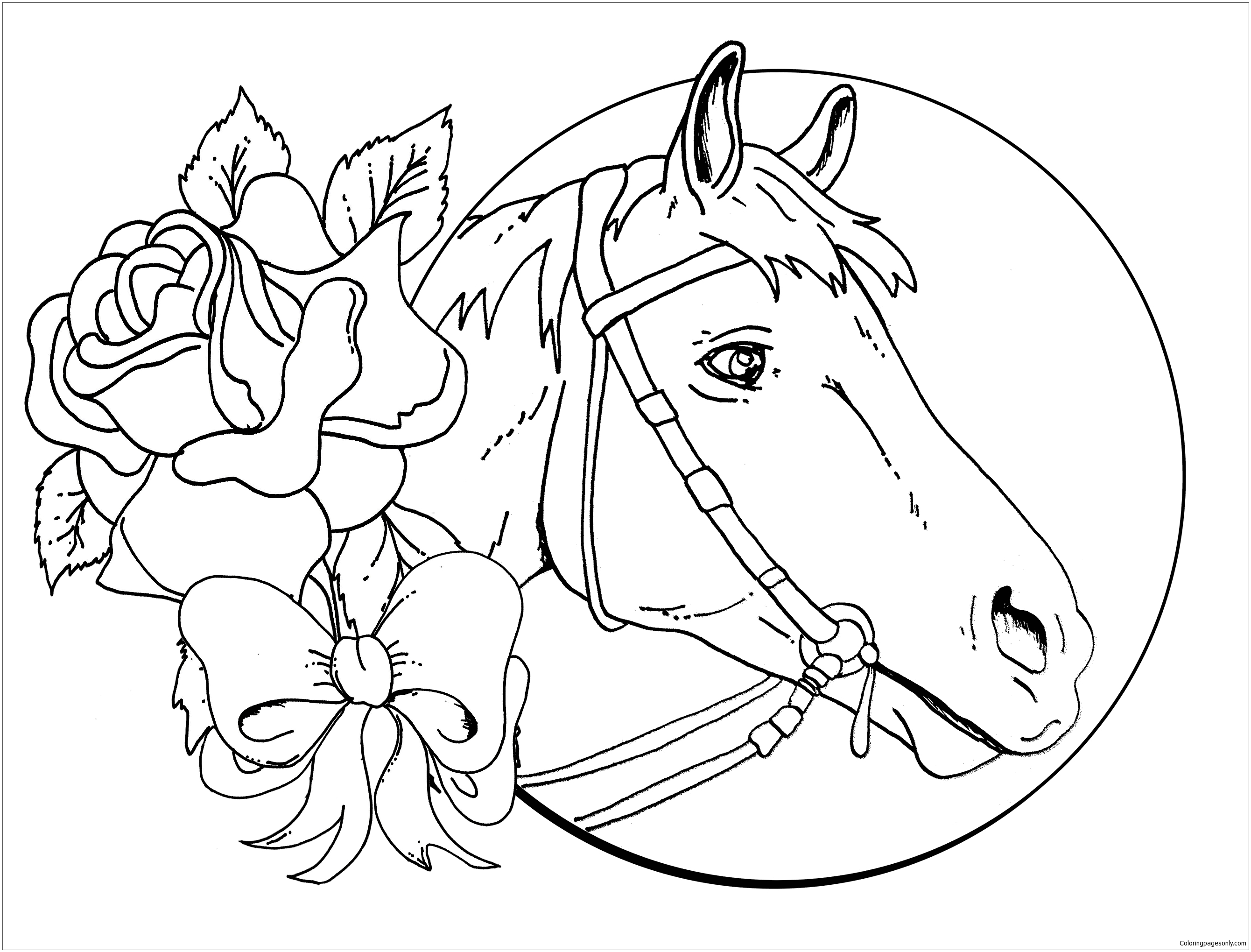 Coloring Pages For Girls Indian And Horse - Coloring Pages