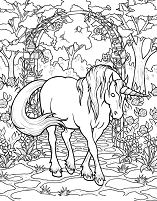 Horse Hard Coloring Page