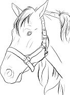 Horse Head Coloring Page