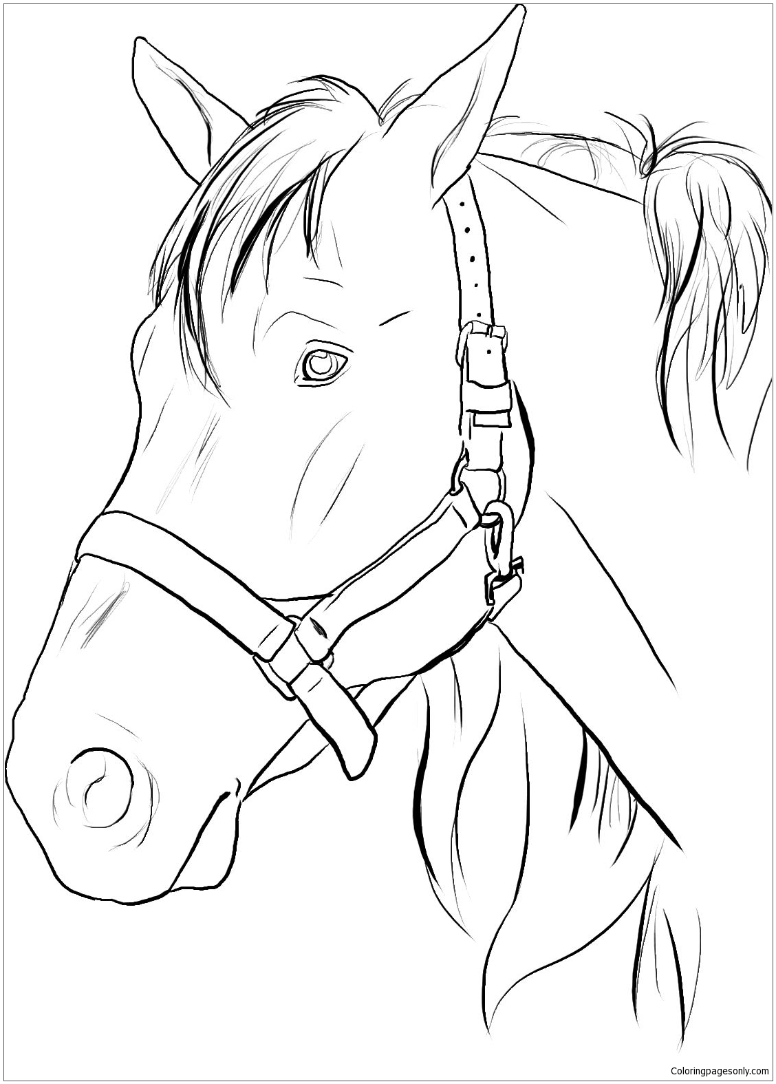 Desenho de cabeça de cavalo para colorir