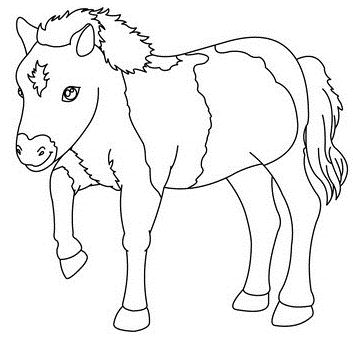 Horse Picture 1 Coloring Page