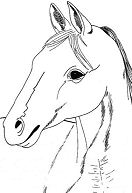 Horse Portrait Coloring Pages
