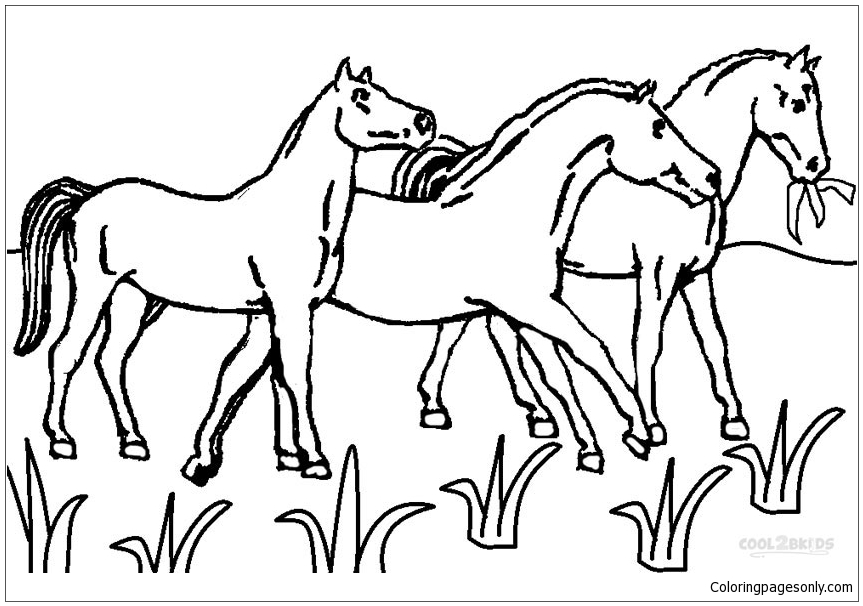 Horseland Paarden van Paard