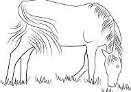 Horses Feeding Coloring Page