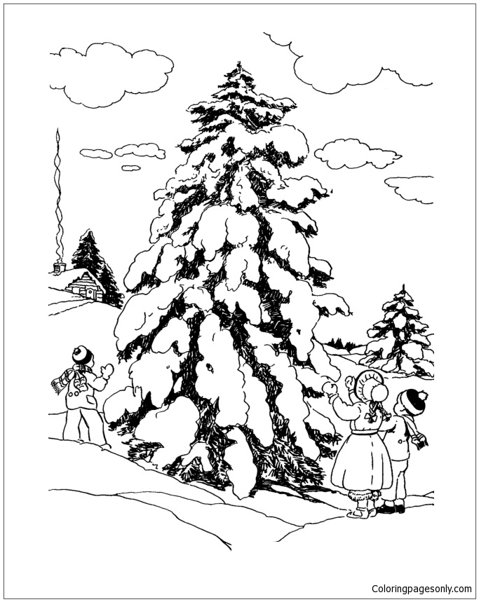 À la recherche d'un arbre de Noël à partir de Noël 2023