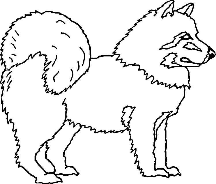Husky Art Coloring Pages