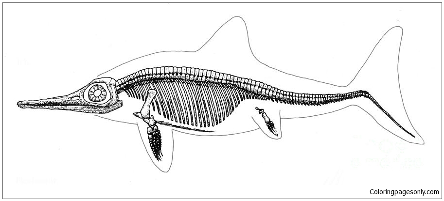 Ichthyosaurus-skelet van Ichthyosaurus
