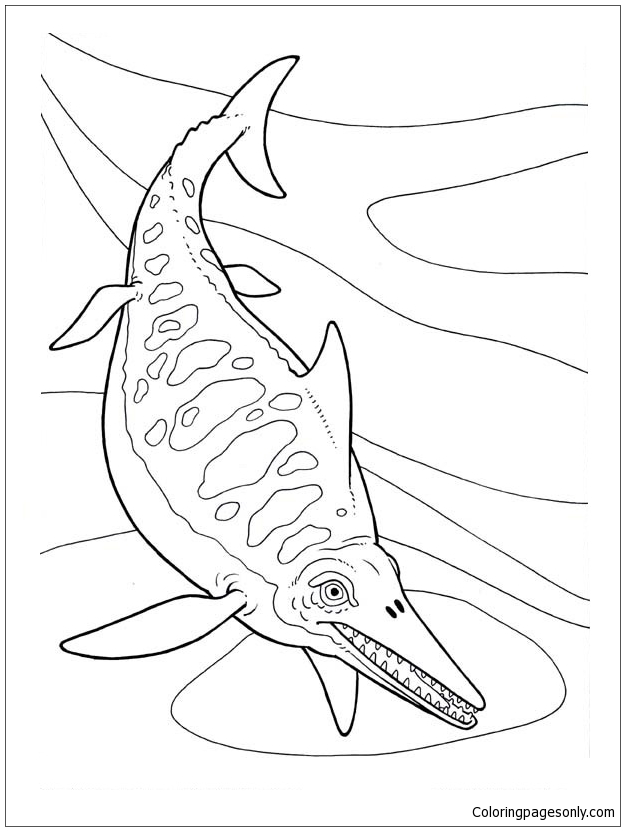 Ichthyosaurus Dinosaur 1 Coloring Pages