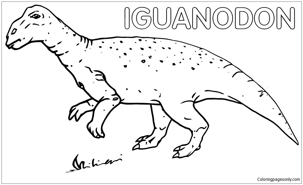 Iguanodon 1 from Iguanodon