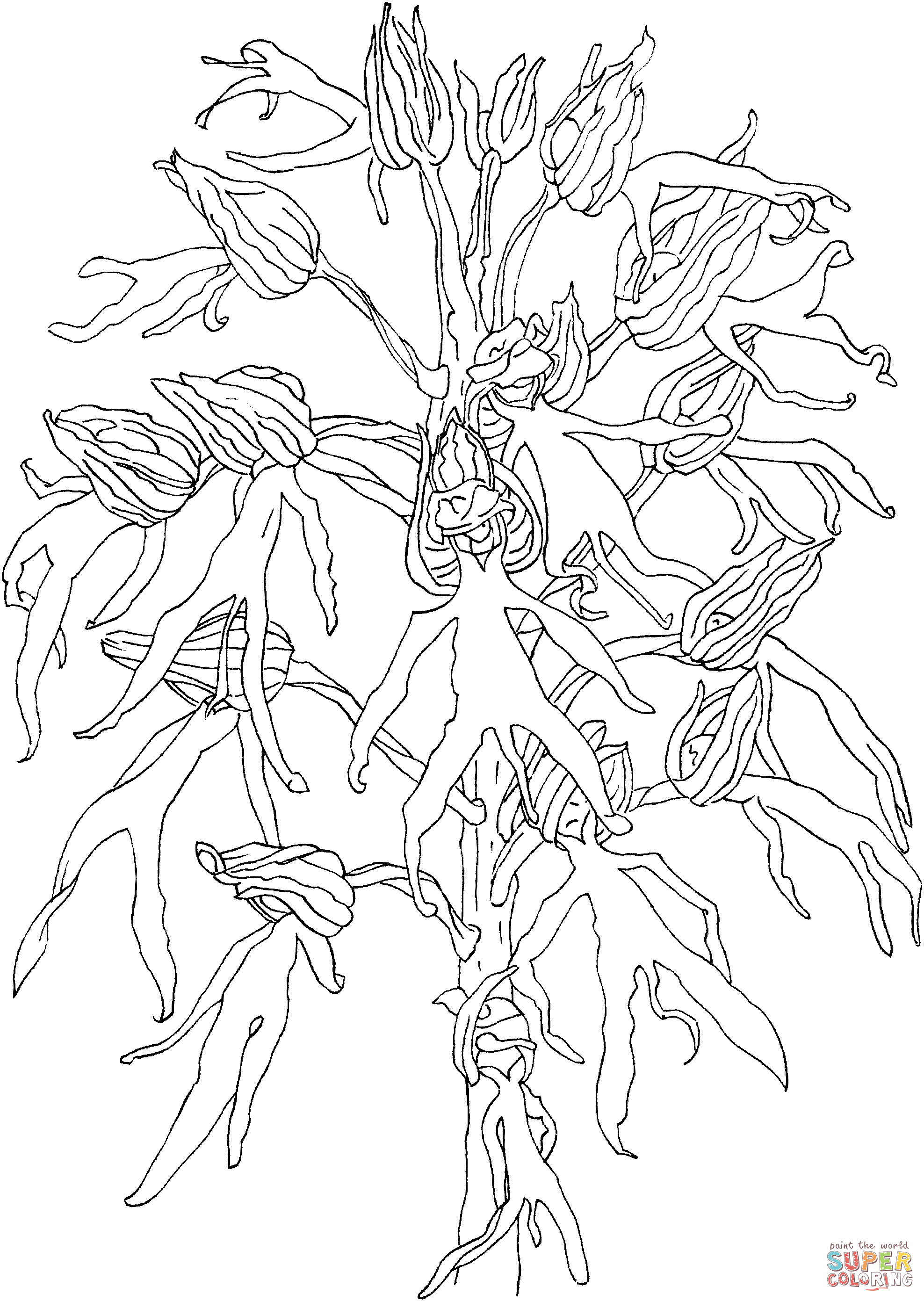 Орхидея ятрышник раскраска