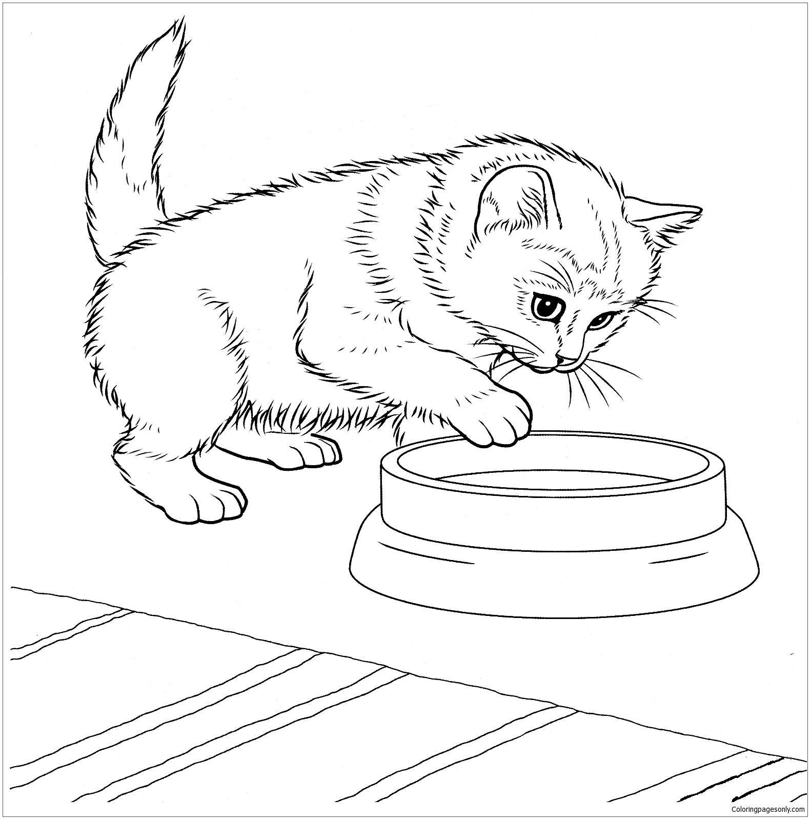 Javanese Kitten Coloring Pages   Cat Coloring Pages   Coloring ...