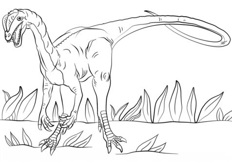 Jurassic Park Dilophosaurus Coloring Page