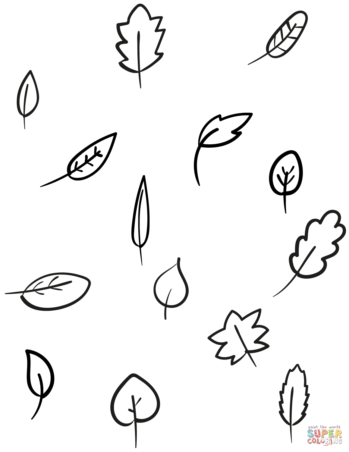 Leaves from Fall